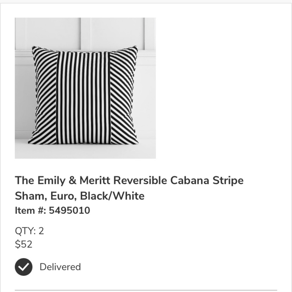 Pottery Barn Euro Pillow Shams (2)